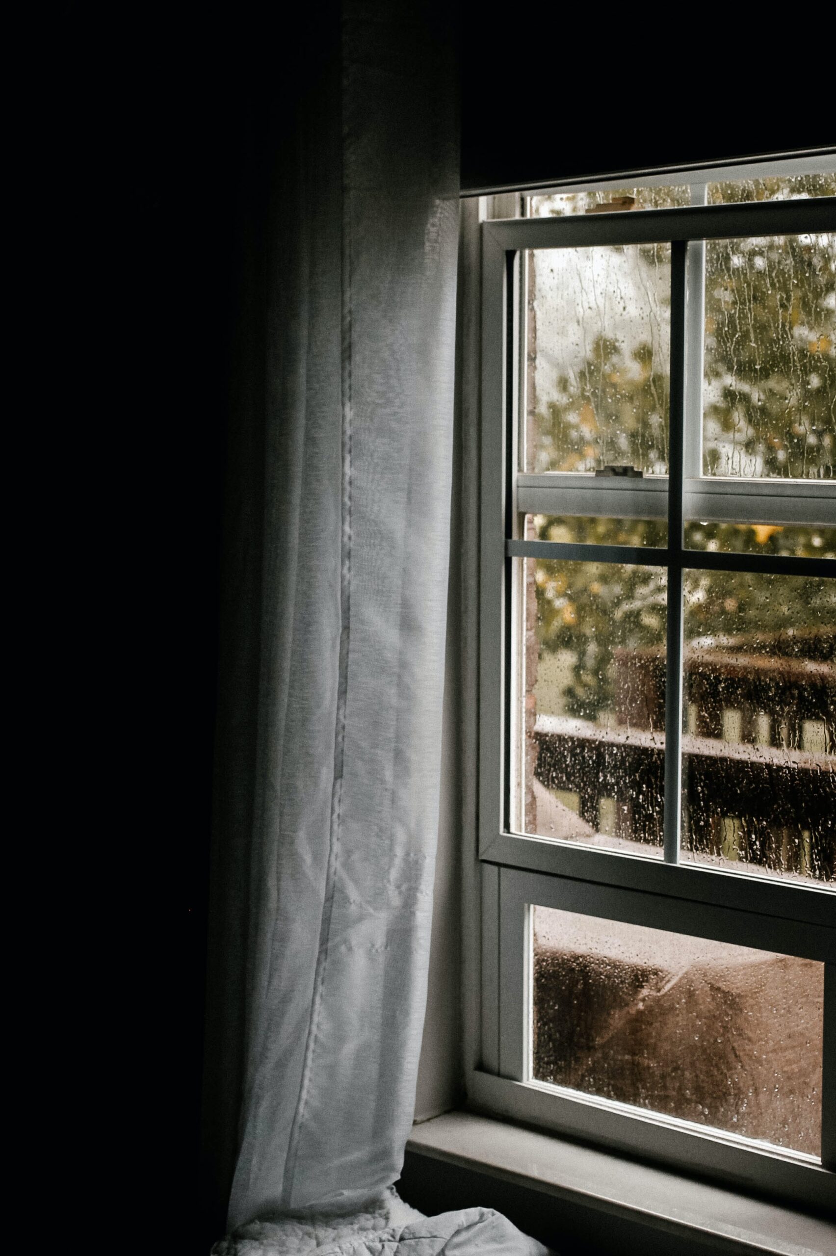 What You Should Know Before Replacing Your Windows